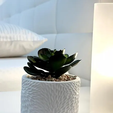 Spacious Cosy With Pool And Parking *