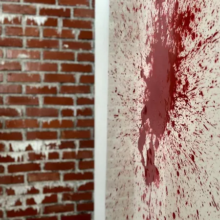 Lägenhet Spacious Cosy With Pool And Parking