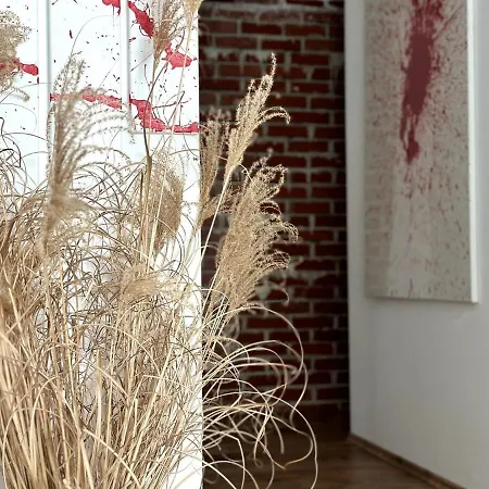 Spacious Cosy With Pool And Parking