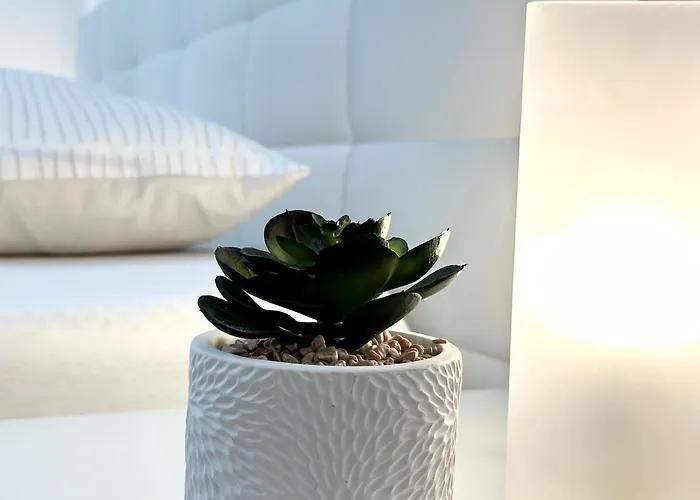 Spacious Cosy With Pool And Parking *