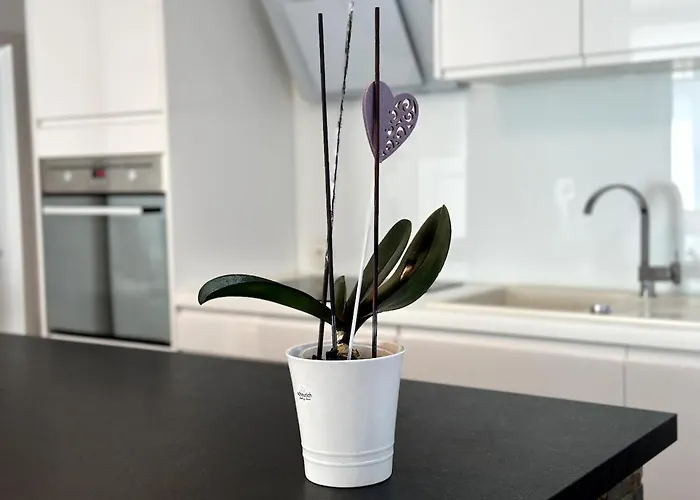 Spacious Cosy With Pool And Parking Apartamento