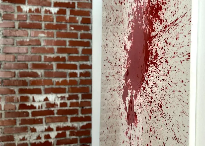 Apartamento Spacious Cosy With Pool And Parking