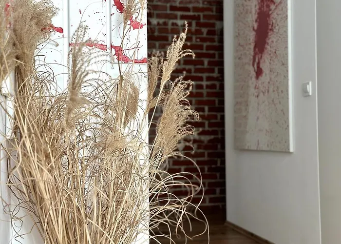 Spacious Cosy With Pool And Parking